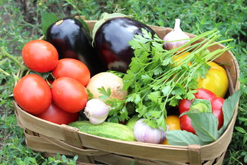 Basket with autumn vegetables. Tomatoes, eggplant, onions, cucumbers.
