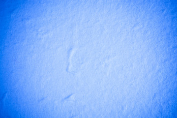 Blue Mulberry paper background.