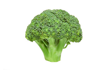 Fresh broccoli isolated on white background.