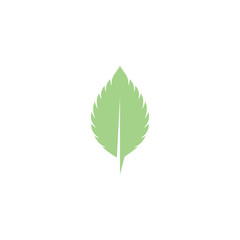 Mint leaves flat vector color icon