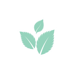 Fototapeta premium Mint leaves flat vector color icon