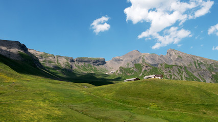 Fototapeta na wymiar High alpine meadows in the Bernese Oberland