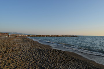 Obraz premium Beach, sea and pinewood on the seaside in Marina di Cecina, Tuscany, Italy. Panoramic view of the coast with pinewood, clear blue water and nice sand in a summer day