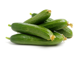 Lebanese Cucumber isolated on white background