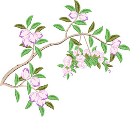 abstract background with flowers