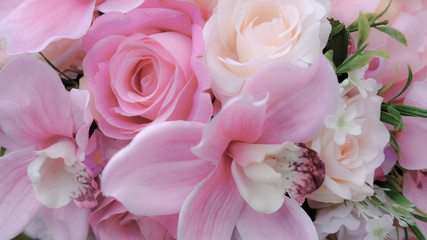 Blurred of rose flowers pink blooming. in the pastel color style for background. Stained glass pictures