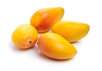 Mango on a white background