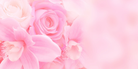 Obraz premium Blurred of rose flowers pink blooming. in the pastel color style for background. Stained glass pictures