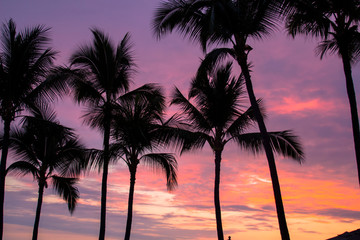 Sunset at Waikiki a part of Honolulu Hawaii, USA