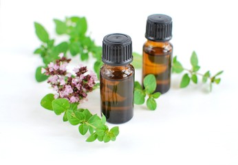 Bottles with oregano essential oil with fresh herbs, isolated on white background.