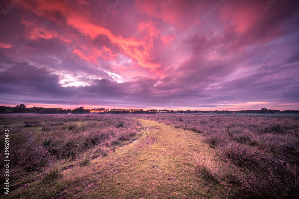 Poster Spiritual voyage concept path through Wild natural landscape under amazing sky in vintage colors