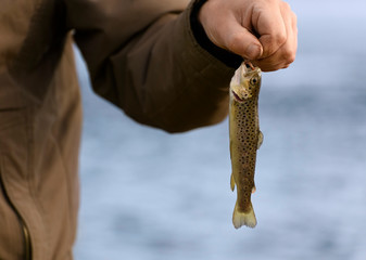 The caucasian fisherman is holding the one caught little trout in his hand in cold weather.