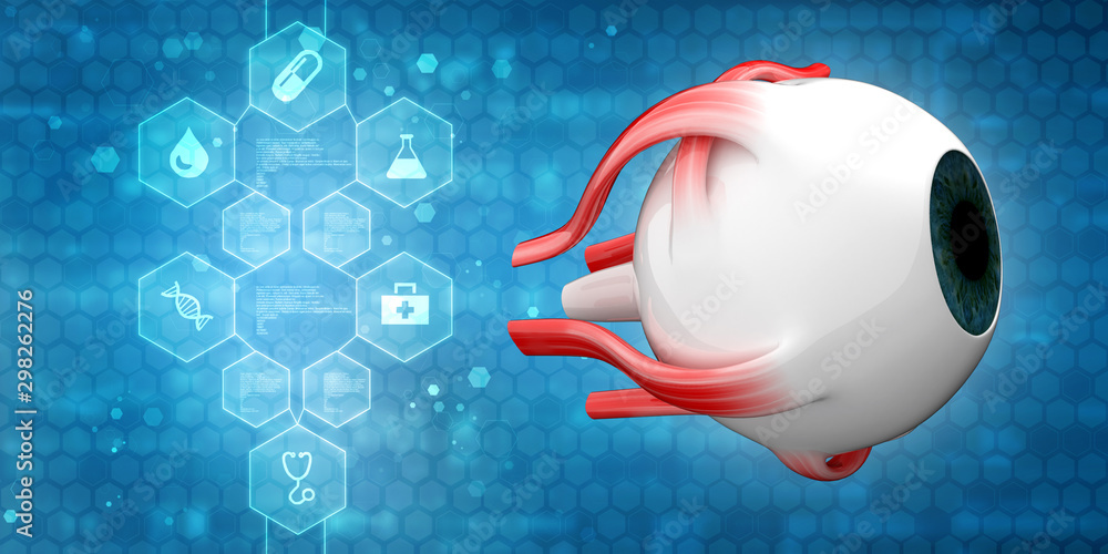 Poster 3d rendering human eye structure