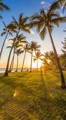 Obraz na płótnie Canvas sunset on the beach of Grand’Anse, Réunion Island 