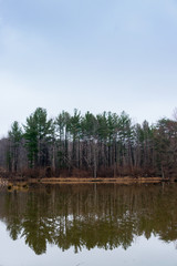 Fototapeta na wymiar Winter pond