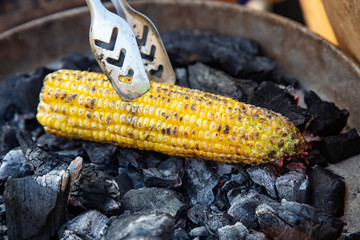 Yellow corn roasted on fire from black carbons