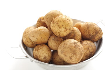 Freshness new potato from Japan
