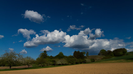 fluffy clouds