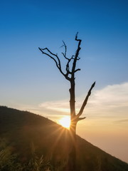 Mountain view evening of alone dry tree with yellow sun light and cloudy sky background, sunset at Nern Chang Suek, Thong Pha Phum, Kanchanaburi, Thailand.