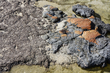 View of microbial mats stromatolites at the Hamelin Pool in Shark Bay, World Heritage area, Western Australia