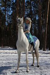 Beautiful young blond woman with flower crown on white neigh horse in sunny winter day in the...