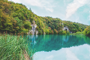 Fototapeta premium Surprisingly clear and clean Plitvice lakes of Croatia. A truly pristine and wonderful piece of wildlife in the mountains. A famous attraction in Croatia