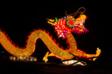 Dragon Chinese lantern at Burgers' Zoo in Arnhem, the Netherlands