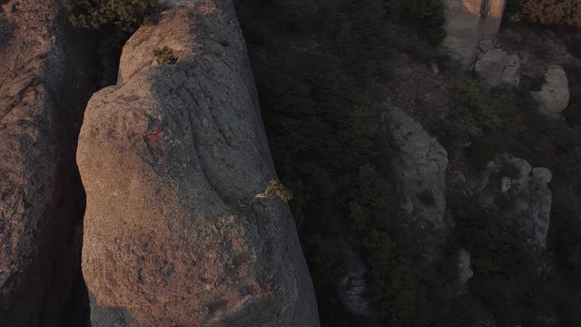 Aerial view pine in canyon of ghosts on Crimea