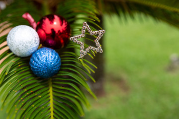 Colorful Christmas balls and shining star over palm leaf with defocused green garden background. Selective focus. Concept of merry christmas, holidays, happy new year, happiness and celebration.