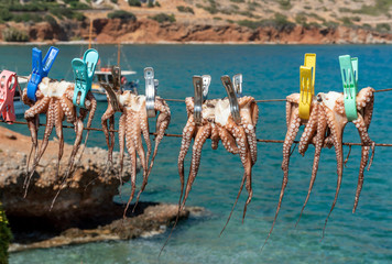 Plaka, Crete, Greece. October 2019.  Octopus pegged to a line dry in the hote Cretan sunshine in Plaka.