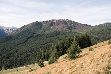 landscape of autumn mountains, Ukrainian Carpathians, Spitz Mountain