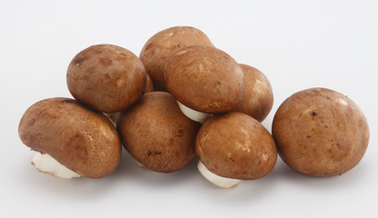 fresh mushrooms