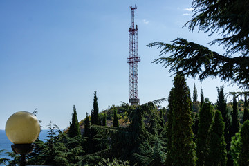 Sanatorium Aivazovsky in Partenit. Landscape Park Paradise. Cypresses cedars pine, spruce and exotic trees and plants grow on terraces along paths and everywhere. Alushta, Russia, September, 2019: