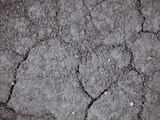 dry cracked earth