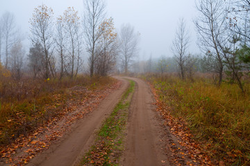 Fototapeta na wymiar ground road through the misty autumn forest