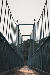 Low angel vie of a bridge. with symmetrical metal structure