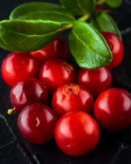 Harvest fresh red Vaccinium vitis-idaea, cranberries, lingonberries, cowberries on rustic dark...