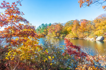 Rock and fall foliage near a lake