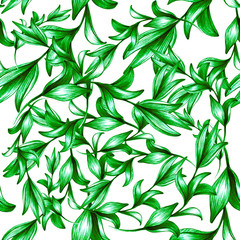 Fototapeta premium Seamless pattern with pencil tropical leaves in green shades. manual graphics. Botanical flower, pencil, floral pattern for textile decoration and design. color illustration. stock graphics