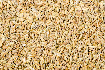 Dried fennel seeds texture.