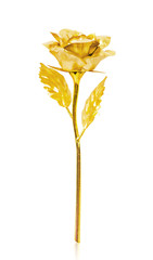 Golden rose isolated on wite background.