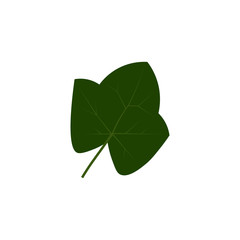 Green ivy leaf vector illustration.