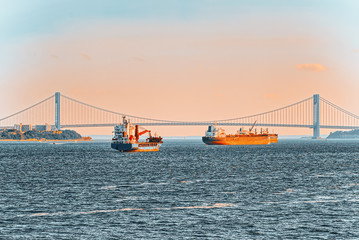 New York, USA,Verrazano-Narrows Bridge across the Upper Bay and Lower Bay,  between  Brooklyn and...