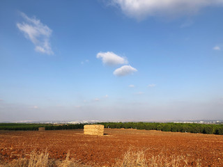 Fototapeta premium Field with hay bales after harvest in summer in Israel