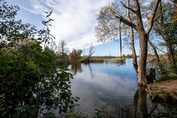Autumn by the lake