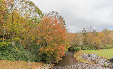 Obraz premium Fall Colors Show - Blue ridge Parkway North Carolina - Drive Through