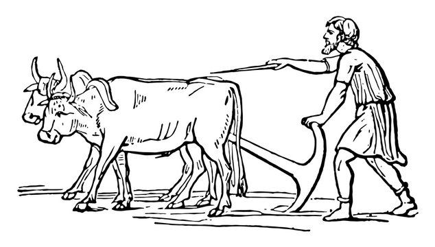 Nudus, vintage illustration.