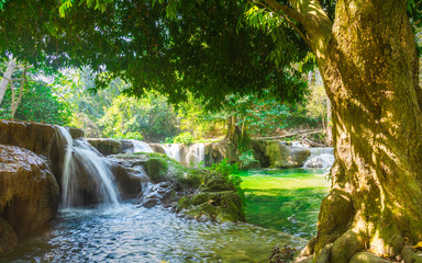 Panorama beautiful fresh green nature scenic landscape mini waterfall in deep tropical jungle rain forest, Famous landmark outdoor travel Saraburi Thailand, Spring background, Tourism destination Asia