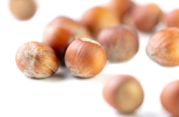 Hazelnuts nuts isolated on a white background
