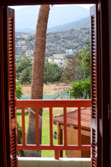 Morning Window